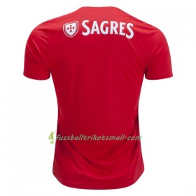 Fußballtrikots Benfica 2018-2019 Kurzarm Heimtrikotsatz kaufen